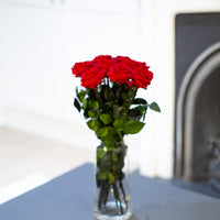 A Dozen Red Infinity Roses with Stem | Infinity Roses | Classic & Timeless Gift for Her