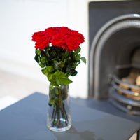 A Dozen Red Infinity Roses with Stem | Infinity Roses | Classic & Timeless Gift for Her