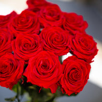 A Dozen Red Infinity Roses with Stem | Infinity Roses | Classic & Timeless Gift for Her