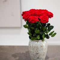 A Dozen Red Infinity Roses with Stem | Infinity Roses | Classic & Timeless Gift for Her