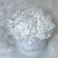 Luxury White preserved hydrangea flower arrangement in Box delivered gift for her