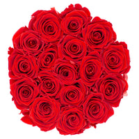 Christmas gift for her red infinity roses in a box