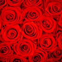 red infinity roses in giant xxl black box for valentine's gift