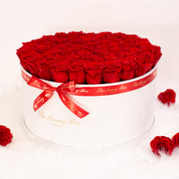 infinity roses in giant big rose box for valentine's day gift