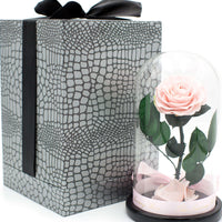 Pink Rose In Glass Dome XL - Luxury Box London