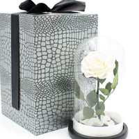 White Rose In Glass Dome XL - Luxury Box London