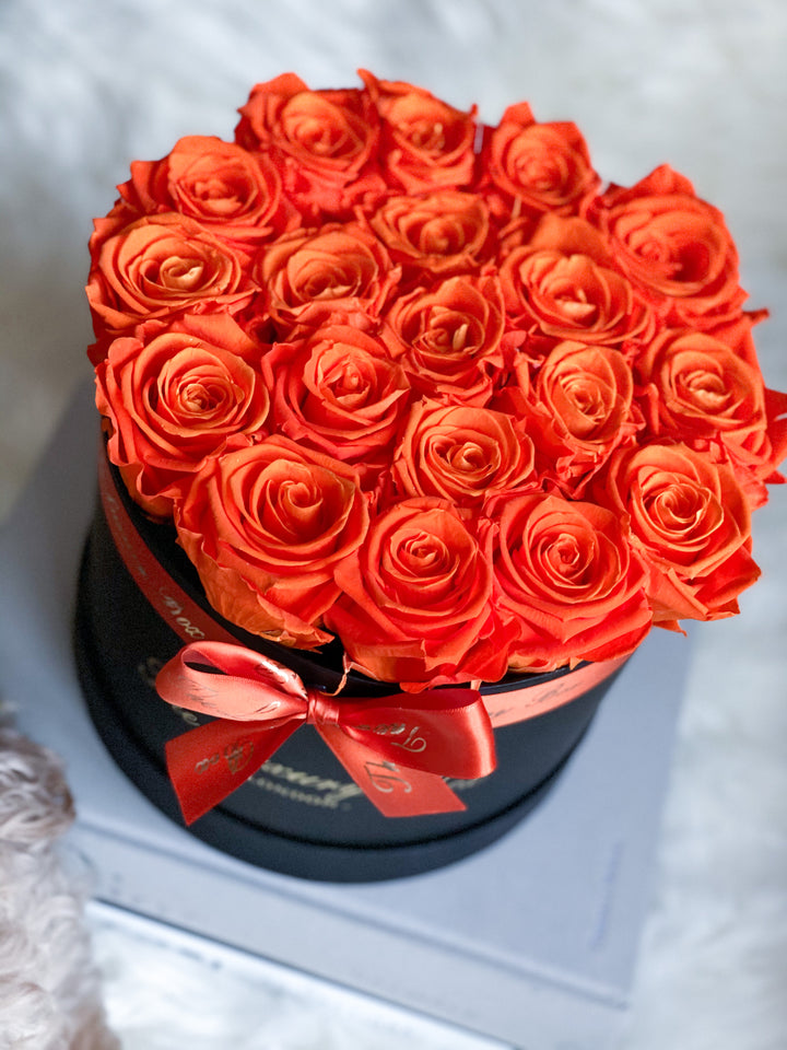 Infinity Rose Box for Halloween Home Decor. The perfect gift for Halloween lovers.