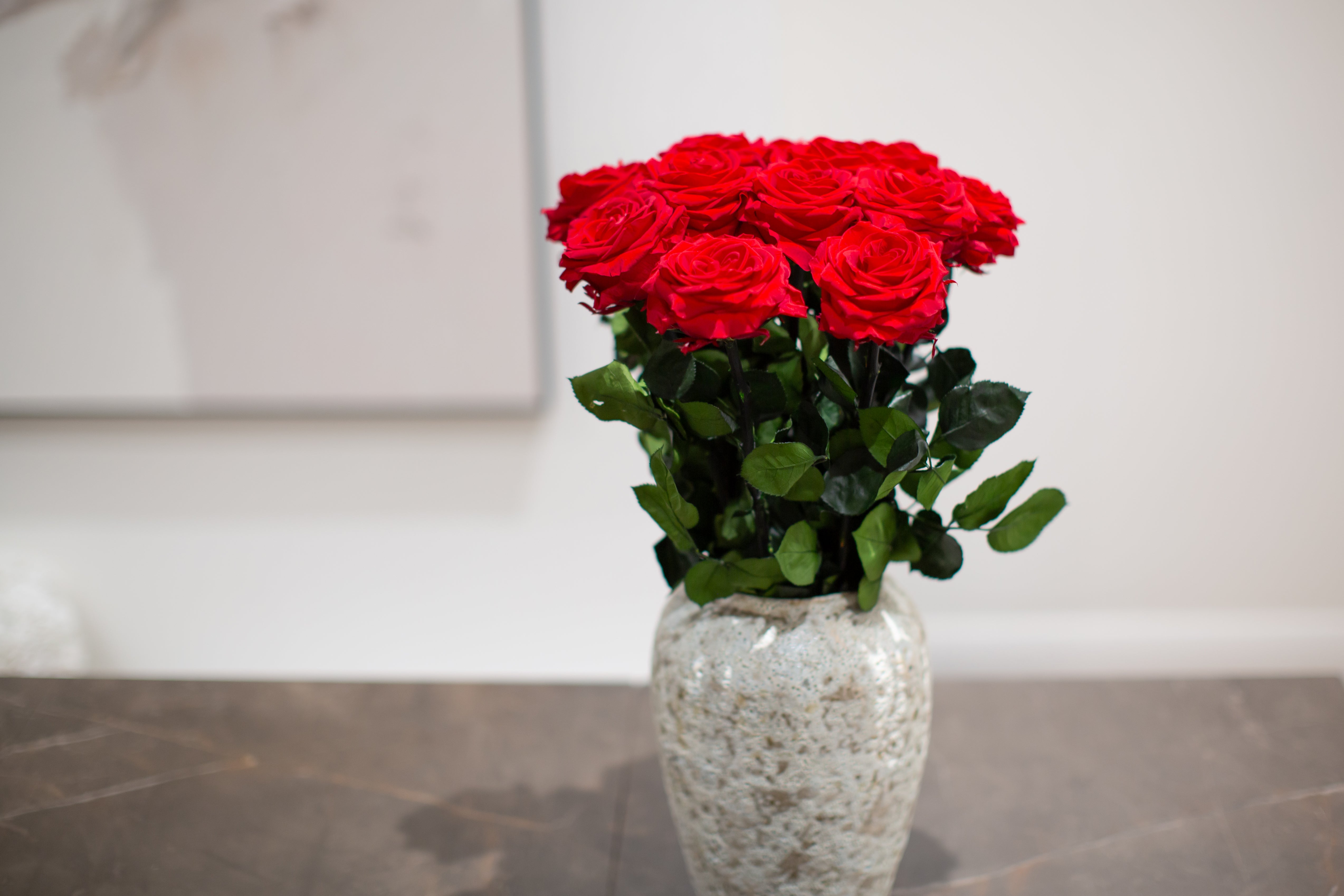 A Dozen Red Infinity Roses with Stem | Valentine's Day Roses Delivered ...