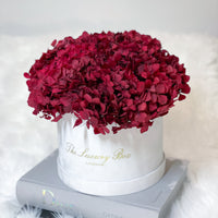 Red preserved hydrangea in box preserved flowers bouquet for flower delivery UK