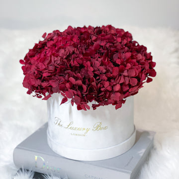 Red preserved hydrangea in box preserved flowers bouquet for flower delivery UK