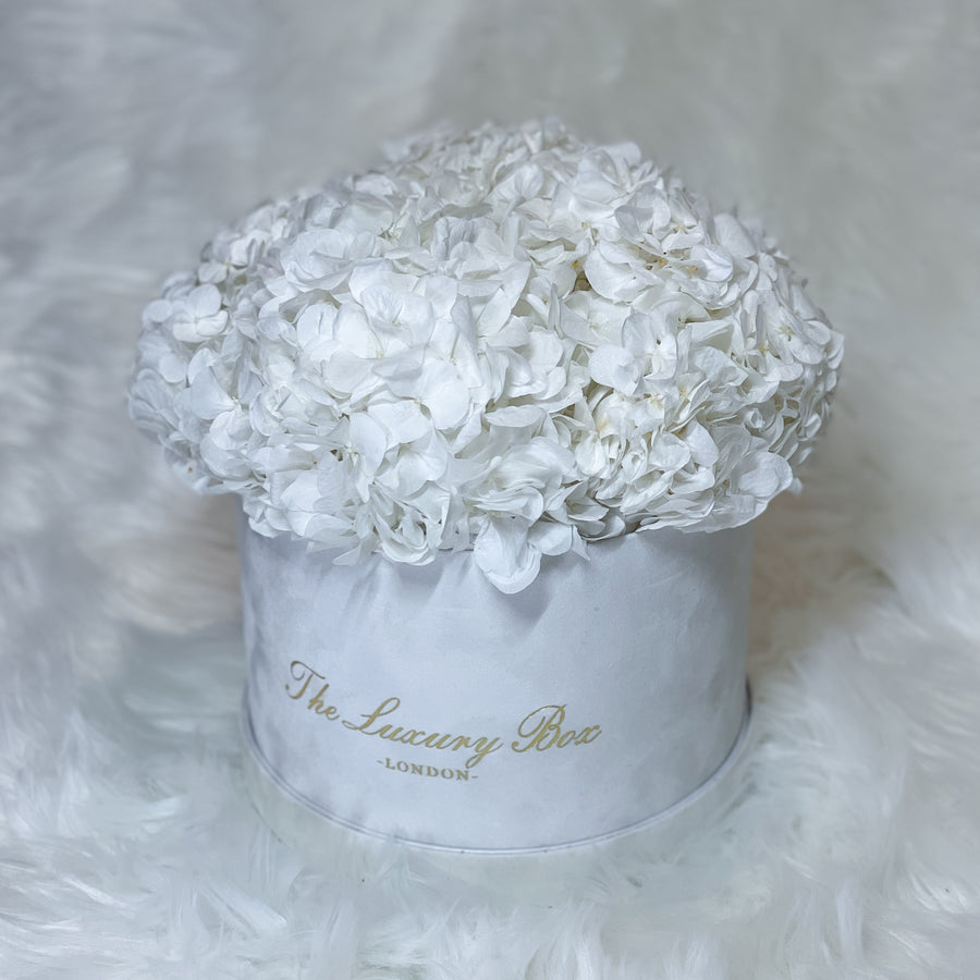 White preserved hydrangea flower arrangement for flower delivery