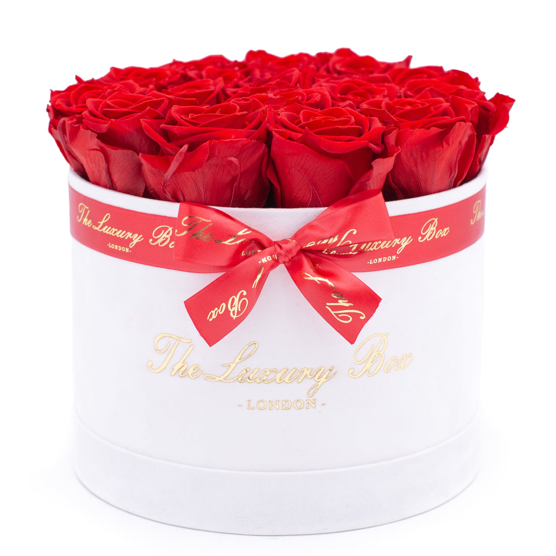 red preserved eternity roses in white rose box