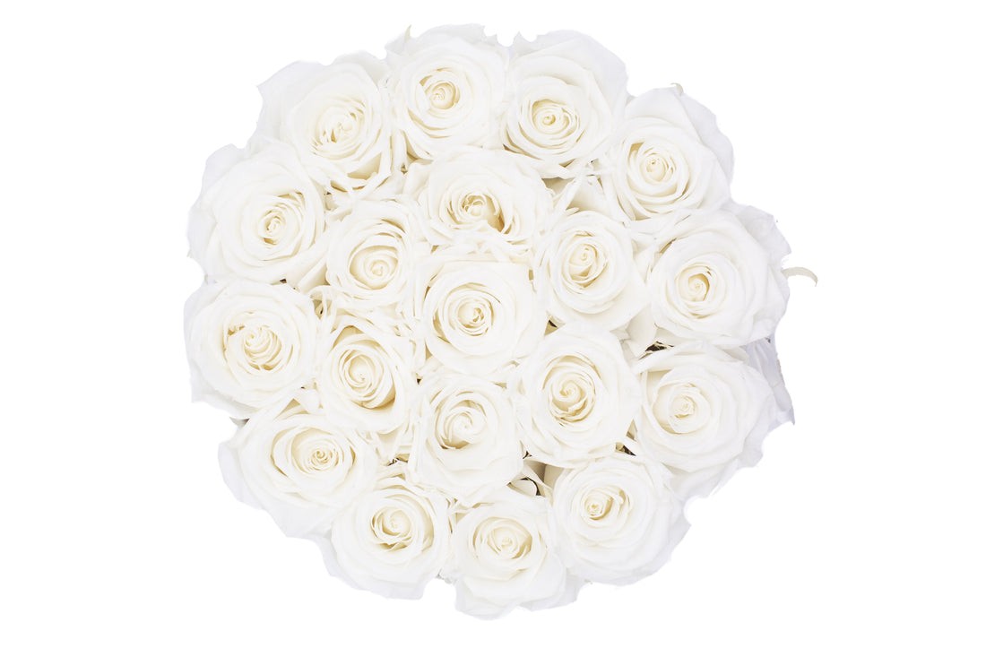 white infinity roses in a box christmas gift for her