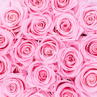 pink preserved eternity roses