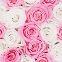pink infinity roses