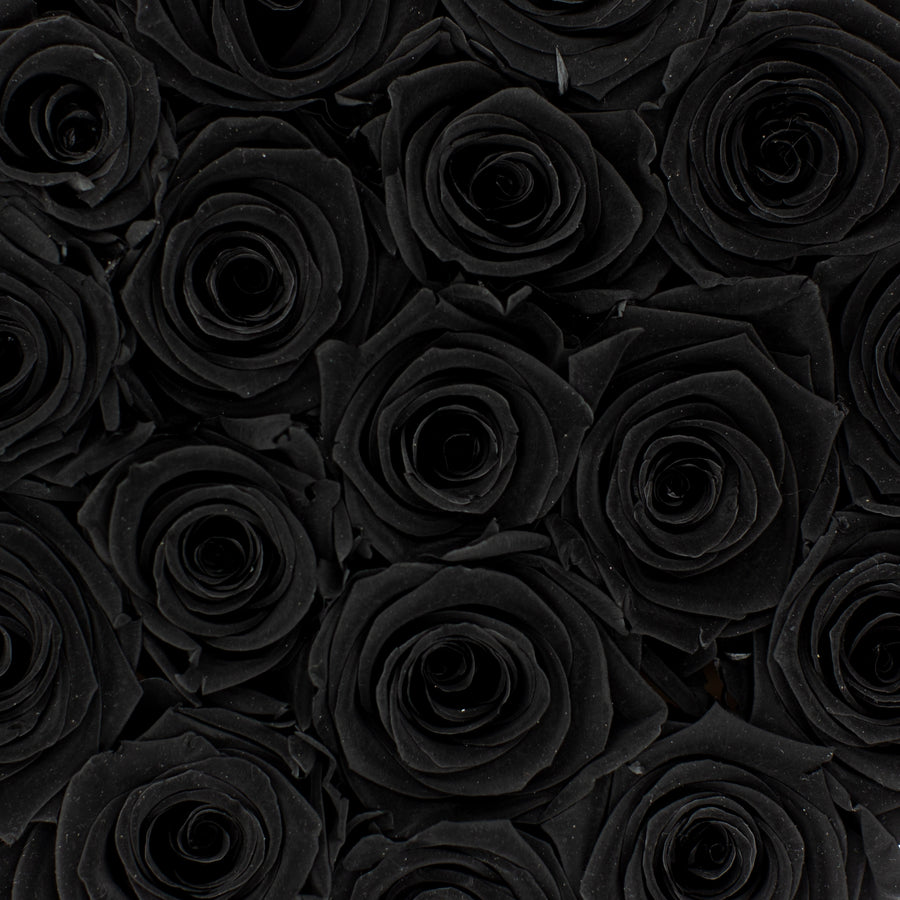 black preserved eternity roses in black rose box