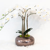 luxury artificial orchid plant in pot for home decor