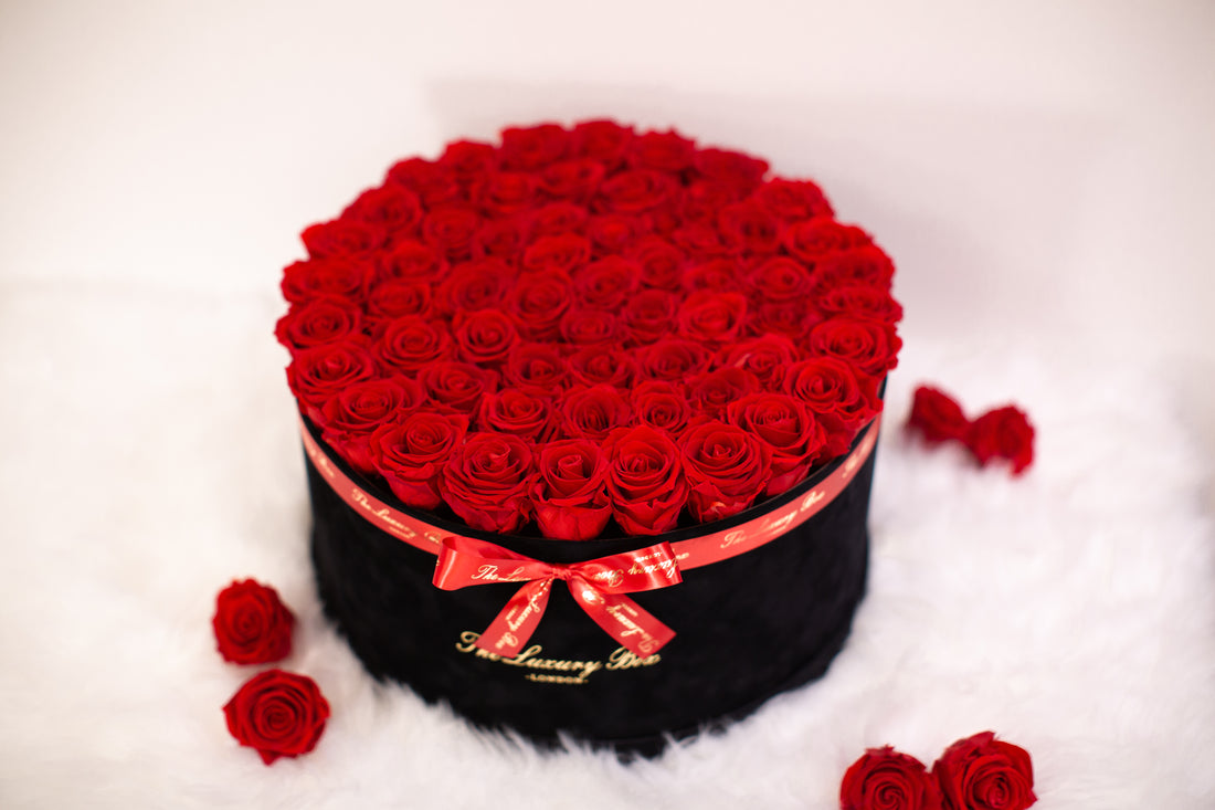 infinity roses in giant big blackn rose box for valentine's day gift