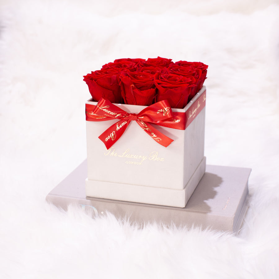 red eternity roses in white square rose box