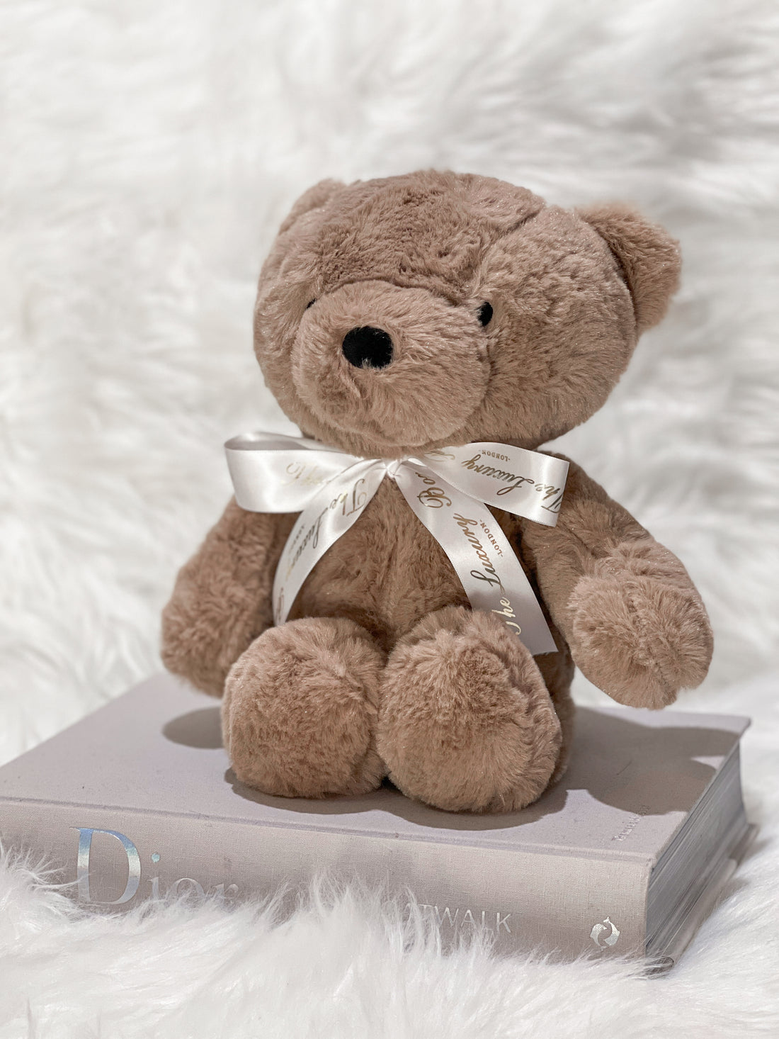 Cute Classic Teddy Bear with Ribbon