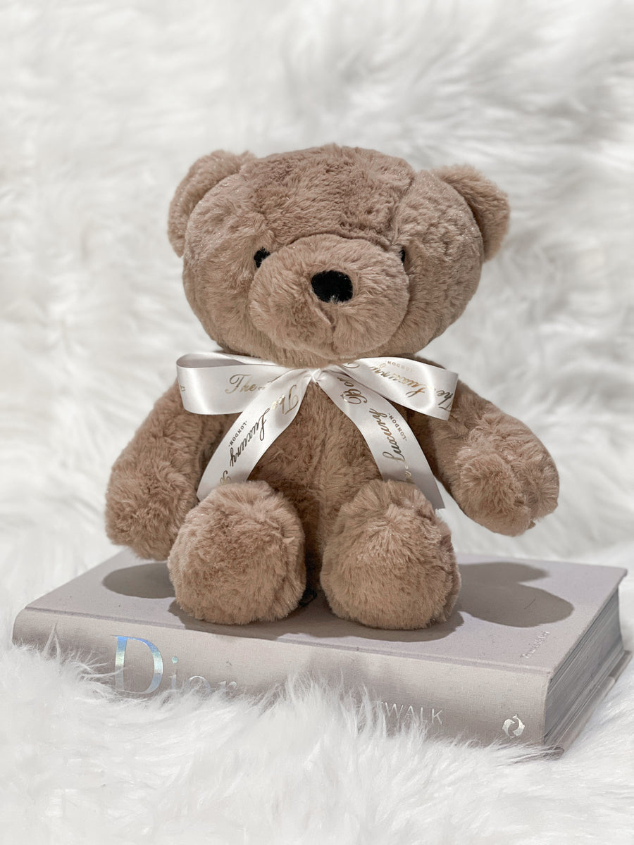 Cute Classic Teddy Bear with Ribbon