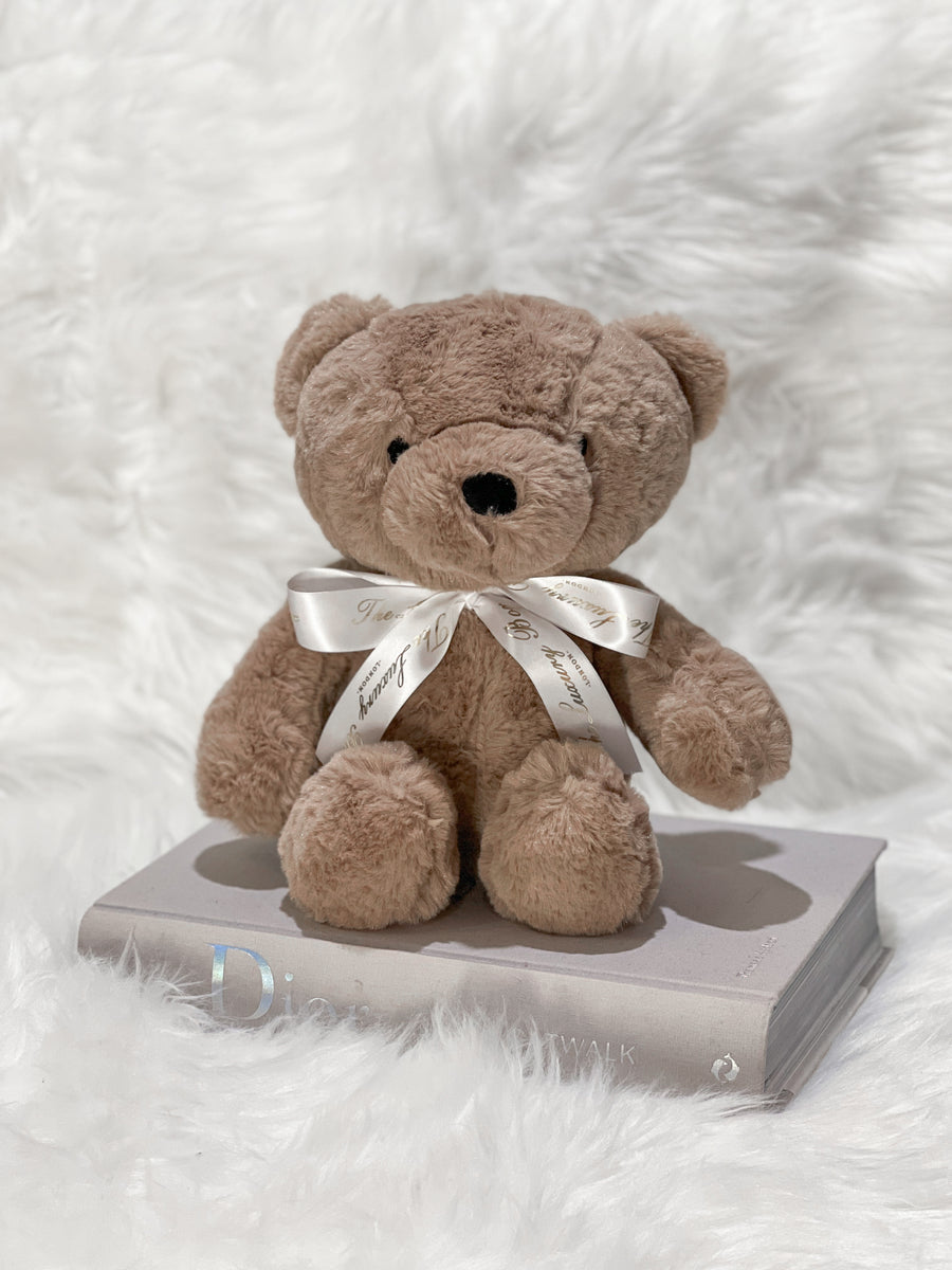 Cute Classic Teddy Bear with Ribbon