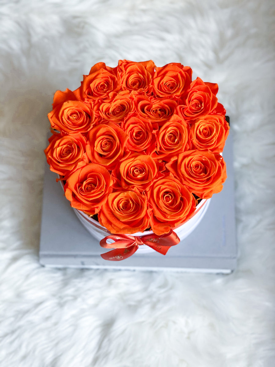 BUILD YOUR OWN Infinity Preserved Rose Box | Luxury Preserved Flower Gift Box