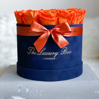 orange preserved eternity roses in velvet navy blue box