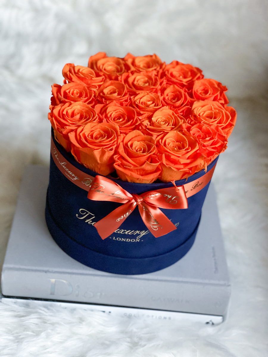 orange preserved eternity roses in velvet navy blue box