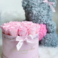pink eternity roses in pink velvet box with rose bear