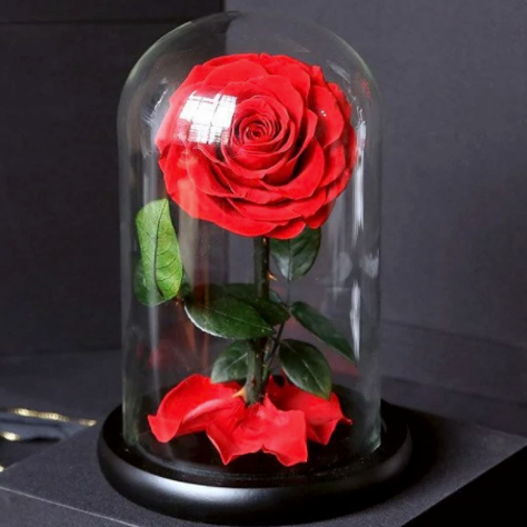 Forever Red Rose In Glass Dome XL