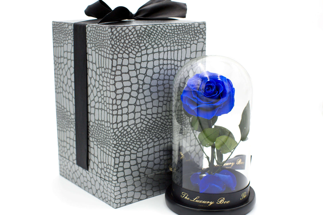 Blue Rose In Glass Dome XL - Luxury Box London