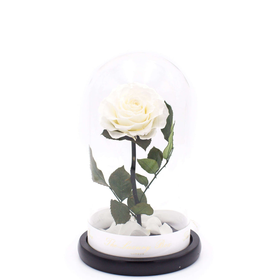 White Rose In Glass Dome XL - Luxury Box London